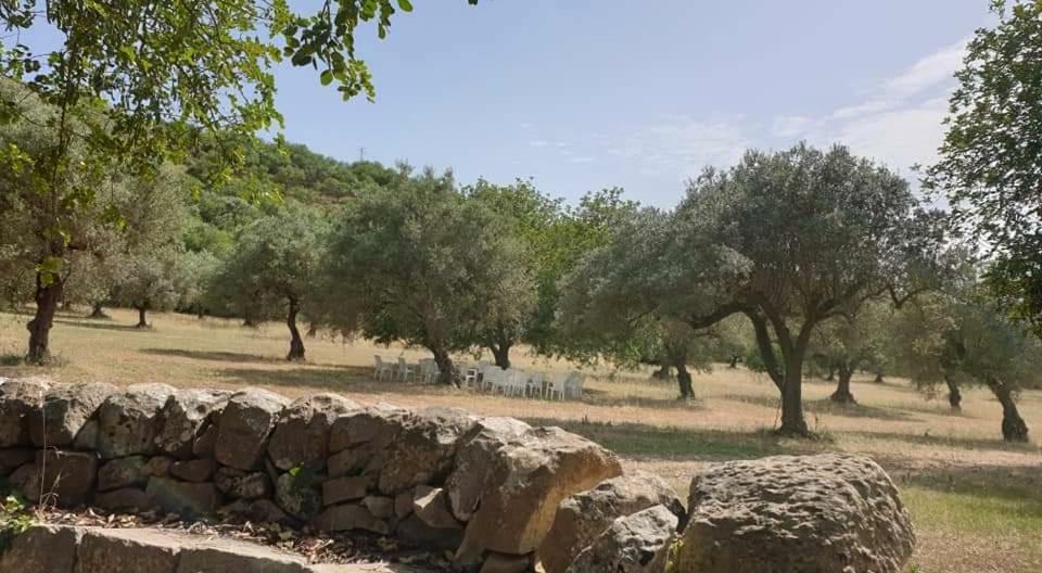 Regia Trazzera Hotel Ragusa Eksteriør billede